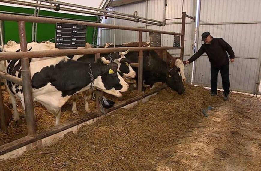 Wsteczne prawo? Drastyczna podwyżka danin dla rolników.