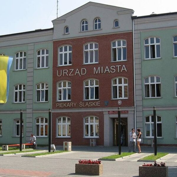 Inwazja much w Piekarach Śląskich. Wdzierają się do domów, uprzykrzają&hellip;