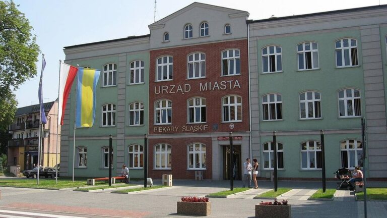 Inwazja much w Piekarach Śląskich. Wdzierają się do domów, uprzykrzają egzystencję. 14
