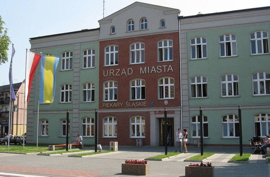 Inwazja much w Piekarach Śląskich. Wdzierają się do domów, uprzykrzają egzystencję.