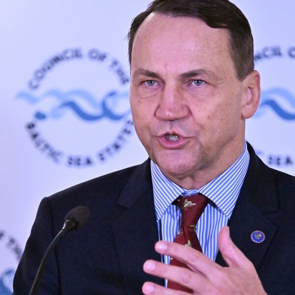 Sikorski komentuje „polski SAFE 0 proc.”. „Domysły”