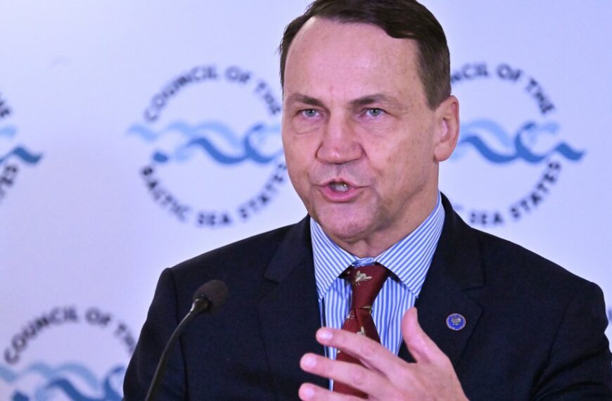 Sikorski komentuje „polski SAFE 0 proc.”. „Domysły”