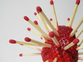 Afrodyzjaki: Czy rosną w Twoim ogrodzie?