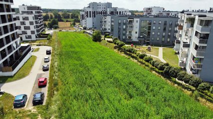 To już koniec słynnego pola uprawnego na osiedlu w Lublinie. Wiadomo, co tam powstanie