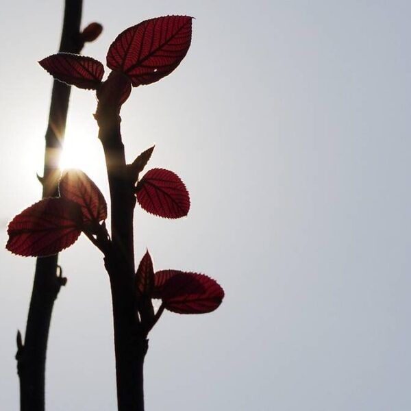 Polskie życie 65 Dłuższe wiosenne dni. Pogoda na start tygodnia.