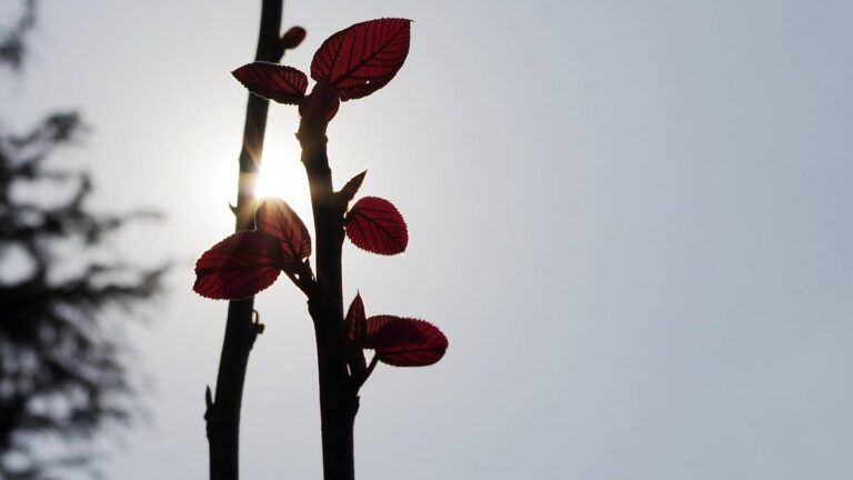 Dłuższe wiosenne dni. Pogoda na start tygodnia. 2
