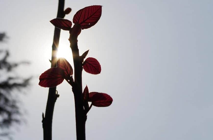 Polskie życie 91 Dłuższe wiosenne dni. Pogoda na start tygodnia.