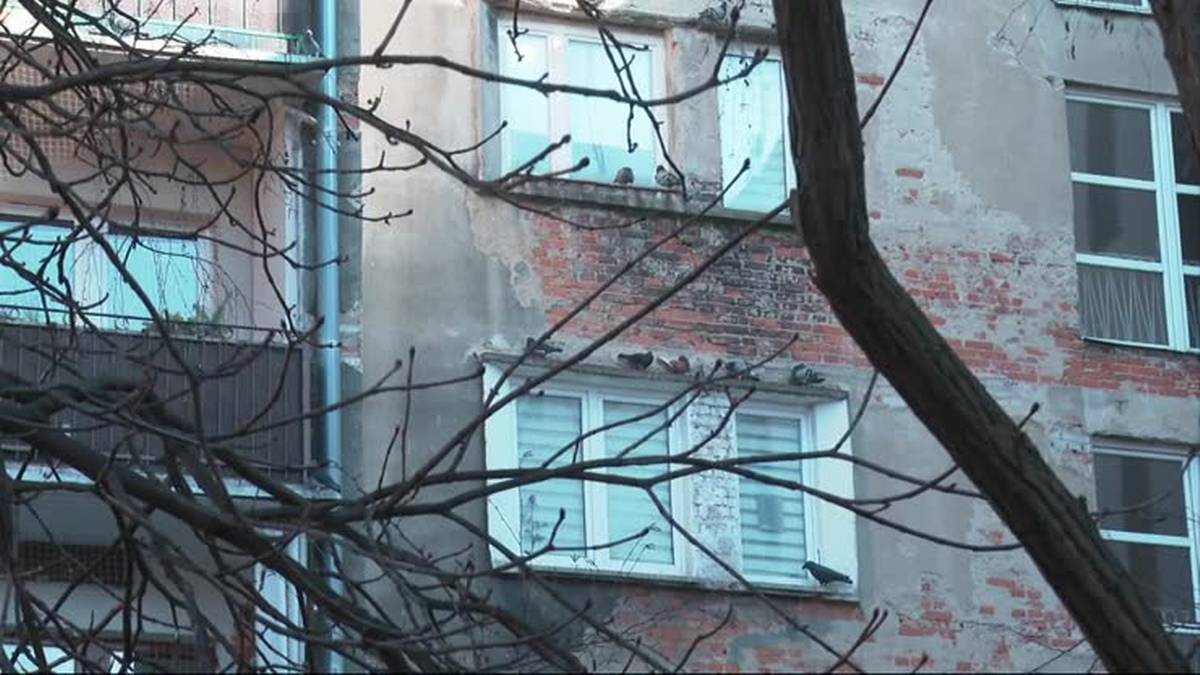 "Tego oczekuję od władz". Nawrocki o losie Polaków na Środkowym Wschodzie. 2