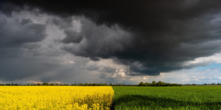Bliskowschodnie wrzenie windowuje ceny ziarna. Jak to wpłynie na farmerów? 9