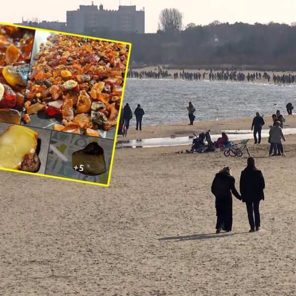 Polskie życie 53 Nawał ludzi zalał wybrzeże. To idealna pora, by poszukiwać bursztynu.