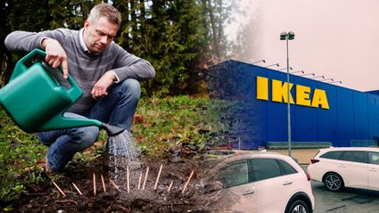 Sprzedawca ołówków "złamał" nawet Ikeę. Zarabia na nich miliony