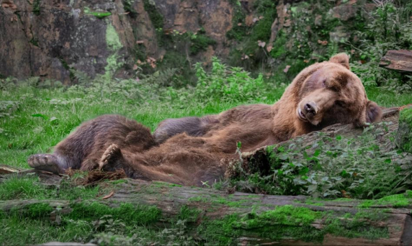Inwestorzy budowlani wciąż w stagnacji. Rekordowo mało lokali mieszkalnych od dekady.
