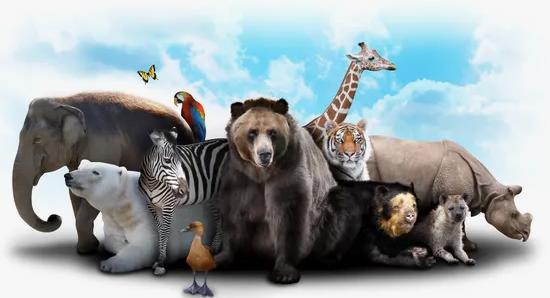 Polskie życie 51 Światowy Dzień Dzikiej Przyrody