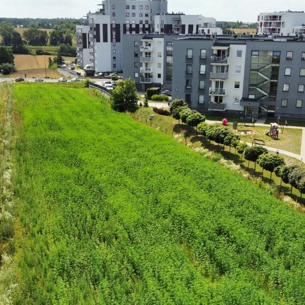 Polskie życie 72 Znany lubelski grunt rolny ma nowego posiadacza. Ujawniono jego zamiary.