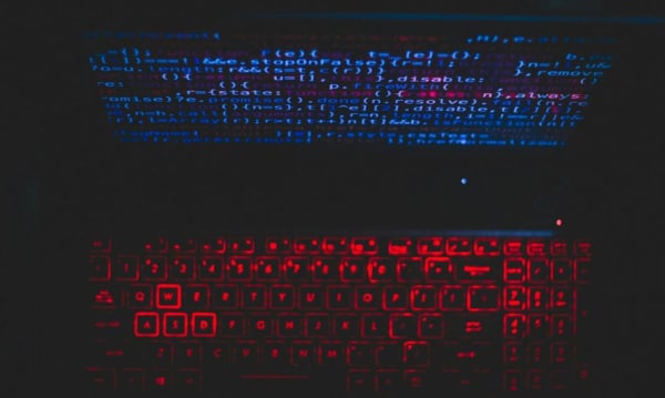 Szeroko zakrojona akcja przeciw hakerom. „Wyłączyliśmy 120 polskich adresów internetowych”