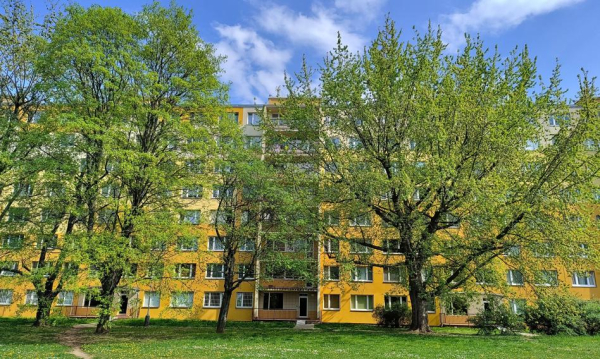 Wybierz mądrze: wspólnota czy spółdzielnia? Twoje koszty i naprawy zależą od decyzji.