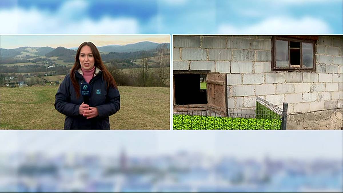 Bliskie spotkania z niedźwiedziami w zabudowaniach. "U kumpla wlazł przez szybę" 3