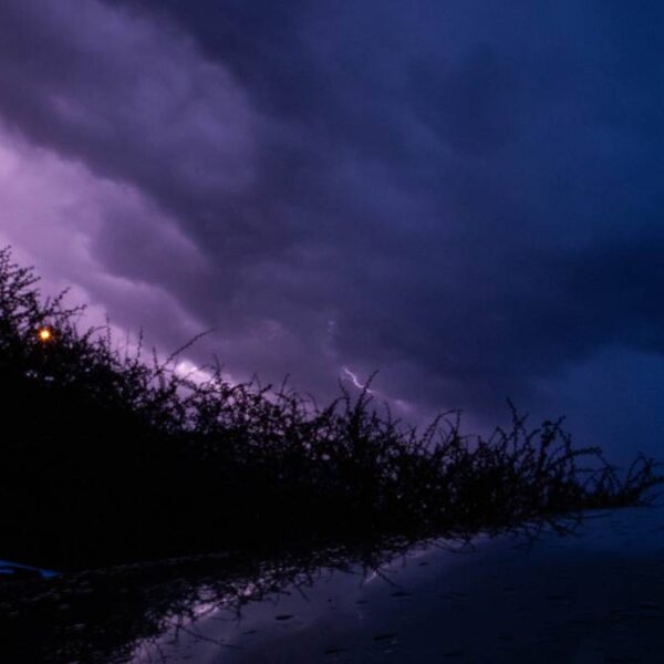 Polskie życie 46 Czwartek: przelotne opady deszczu ze śniegiem.