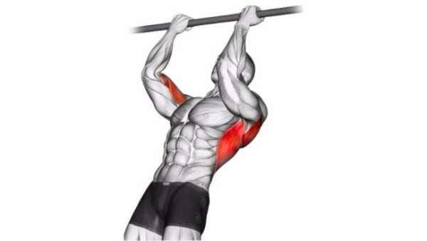 Jak zbudować ramiona w domu: praktyczny przewodnik 13