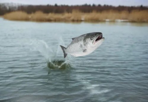 Wodopol to imieniny Ducha Wody