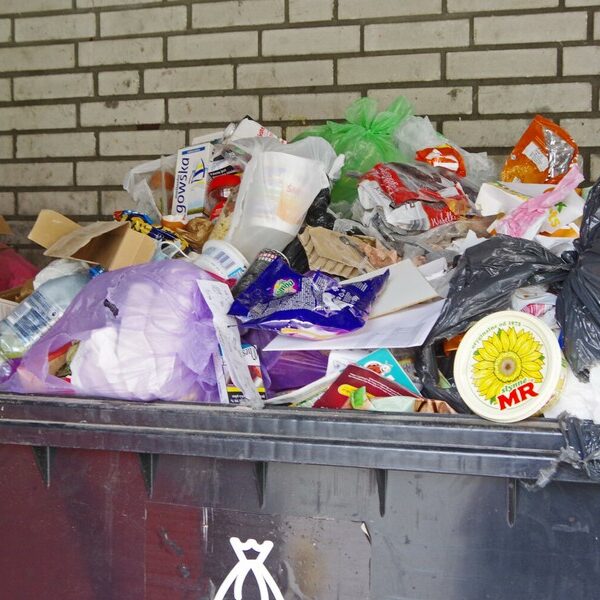 Samorządy rozpoczynają inspekcje śmieci na nieruchomościach. Inspektor ma prawo sfotografować.