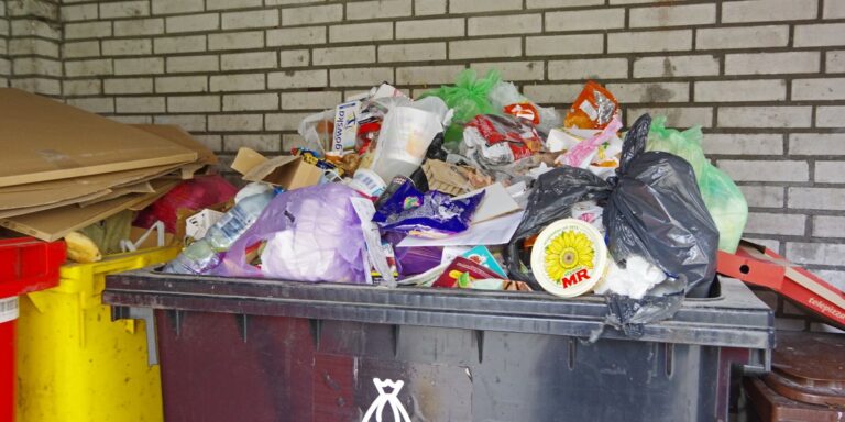 Samorządy rozpoczynają inspekcje śmieci na nieruchomościach. Inspektor ma prawo sfotografować. 3