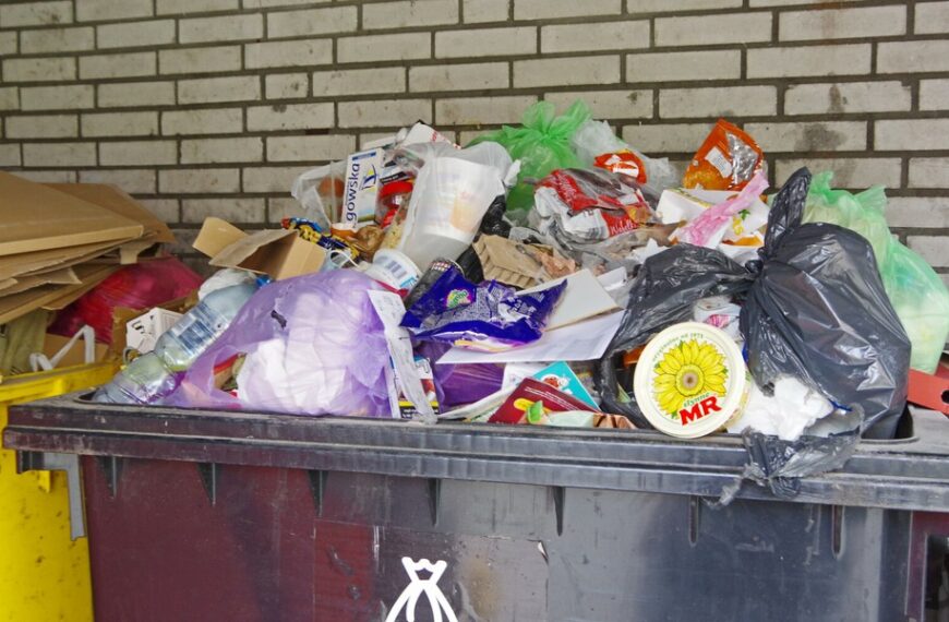 Samorządy rozpoczynają inspekcje śmieci na nieruchomościach. Inspektor ma prawo sfotografować.