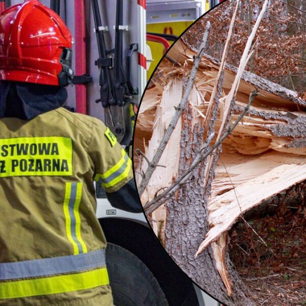 Silne wiatry w Polsce. Straż pożarna interweniuje setki razy, park&hellip;