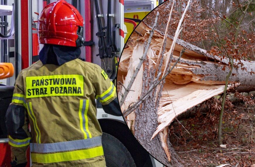Silne wiatry w Polsce. Straż pożarna interweniuje setki razy, park Łazienki Królewskie&hellip;