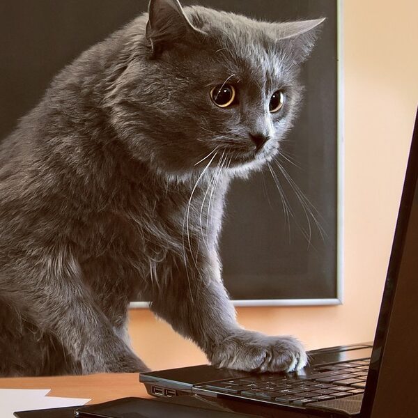 Typowe pomyłki w deklaracji podatkowej. Co odrzuca urząd skarbowy?