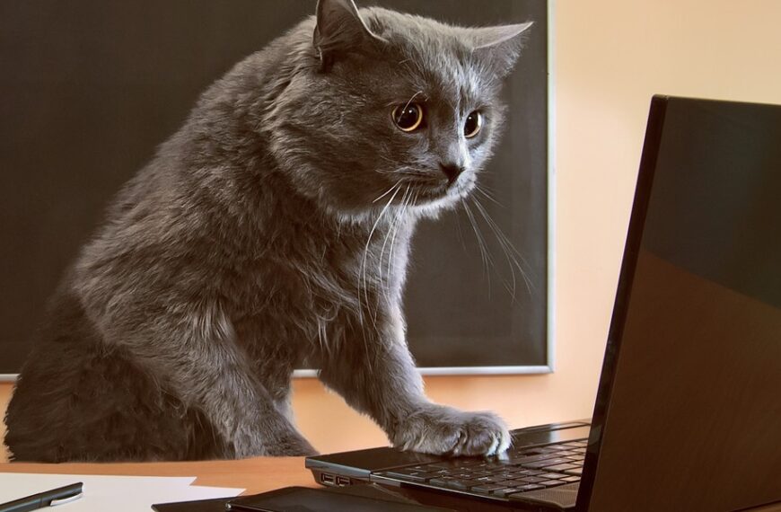 Typowe pomyłki w deklaracji podatkowej. Co odrzuca urząd skarbowy?