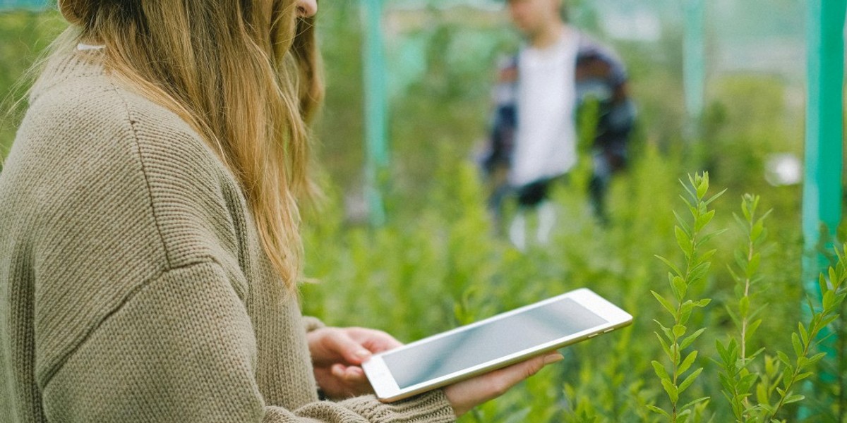 Huawei Startup Challenge V: Półfinałowa dwudziestka wyłoniona! #TechForAgrinnovation 33