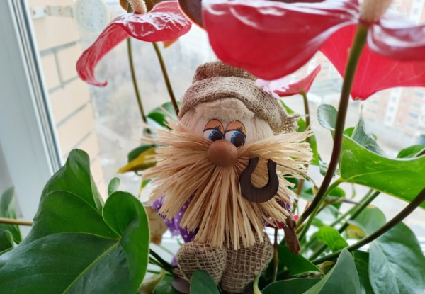 Polskie życie 47 Przebudzenie Brownie