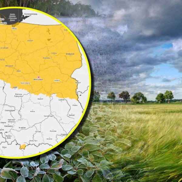 Alarm dla połowy kraju. IMGW prognozuje wichury i mrozy.