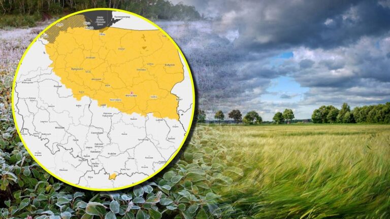 Alarm dla połowy kraju. IMGW prognozuje wichury i mrozy. 16