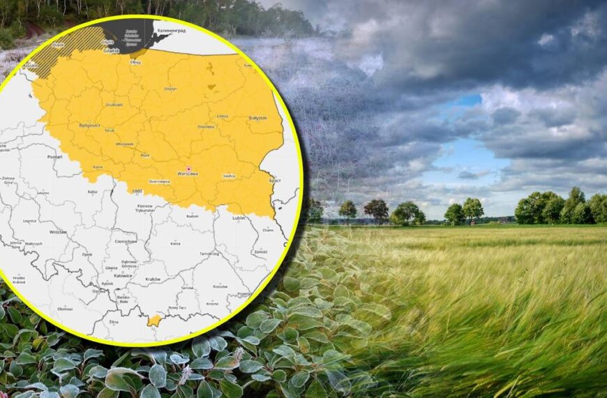 Alarm dla połowy kraju. IMGW prognozuje wichury i mrozy.
