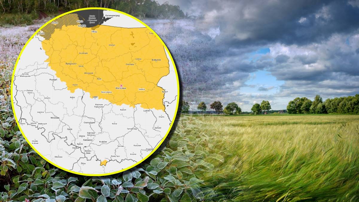 Mapa Polski z zaznaczonymi obszarami objętymi ostrzeżeniami meteorologicznymi przed silnym wiatrem i przymrozkami. Obok mapy zdjęcie przedstawiające krajobraz z polem zboża i burzowymi chmurami.