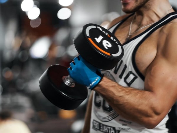 Anatomia mięśni ramienia 2