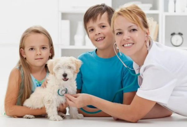 Międzynarodowy Dzień Weterynarii