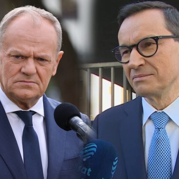 „Grabież Premium”. Tusk szydzi z nowej organizacji Morawieckiego