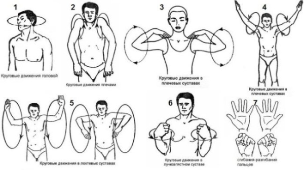 Jak zbudować ramiona w domu: praktyczny przewodnik 16