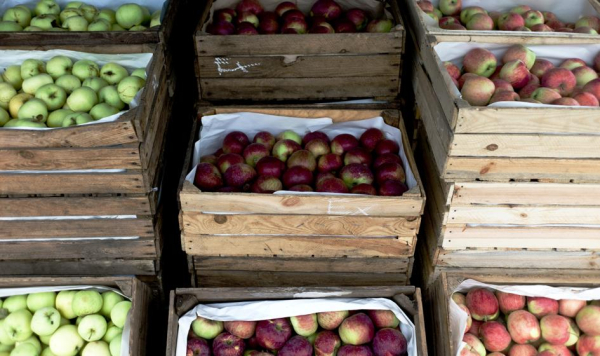 Koniec głośnego bankructwa. Zakład w Milejowie nabyty za 60 milionów.