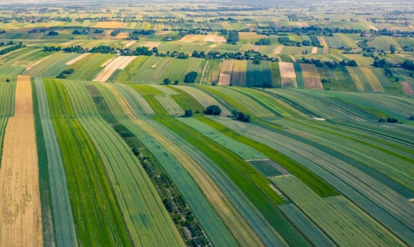 Zaczęto wypłacać początkowe kwoty za tereny pod port lotniczy. 1