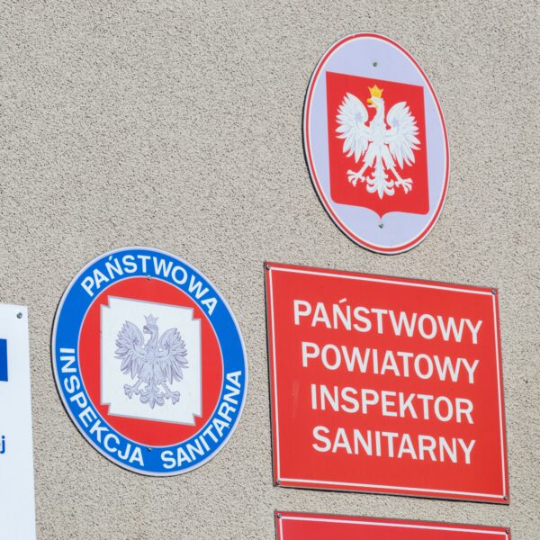 Hantawirus w Polsce. Pierwszy przypadek pod kontrolą. Jakie zagrożenie?
