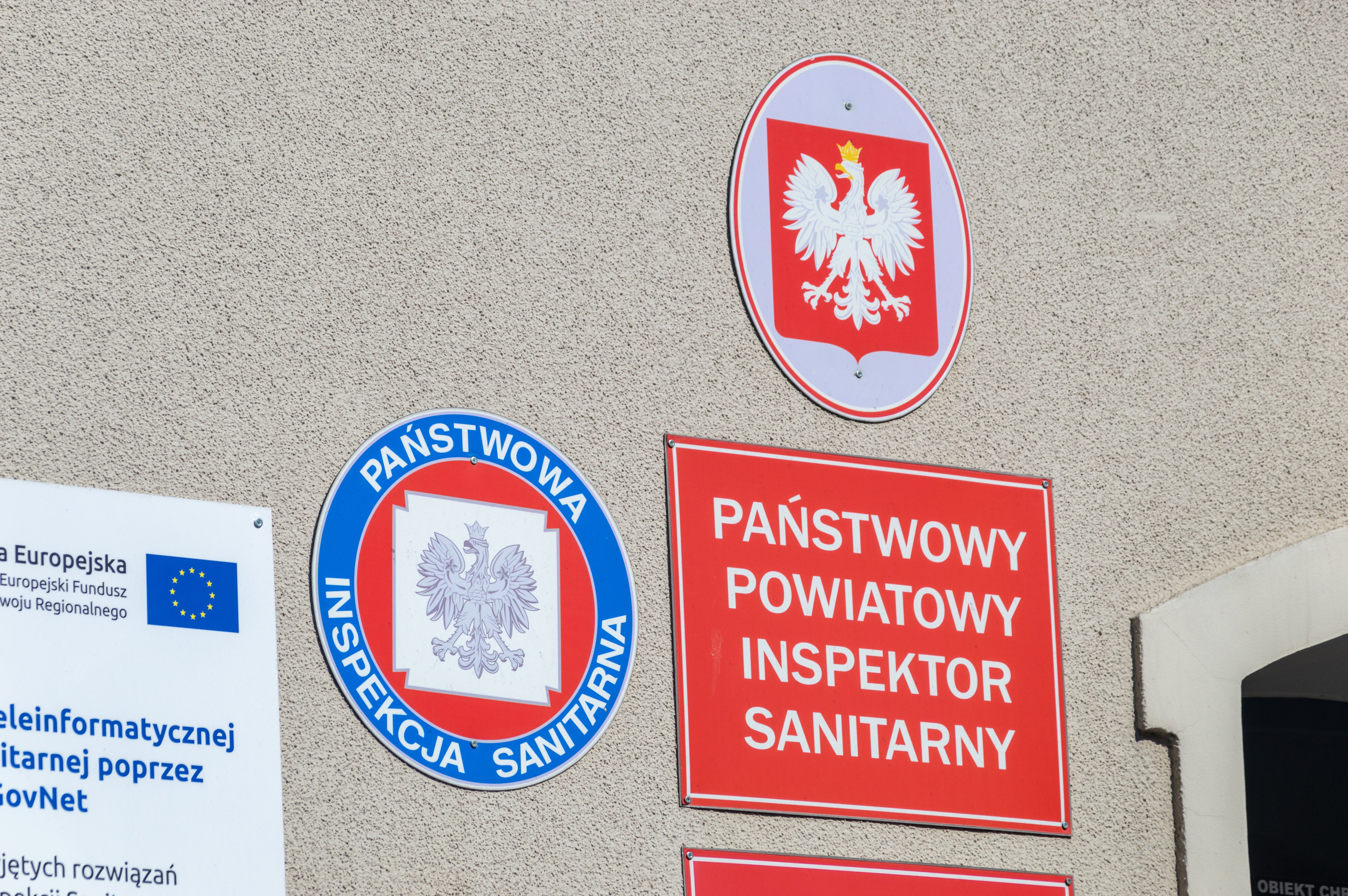 Hantawirus w Polsce. Pierwszy przypadek pod kontrolą. Jakie zagrożenie? 2