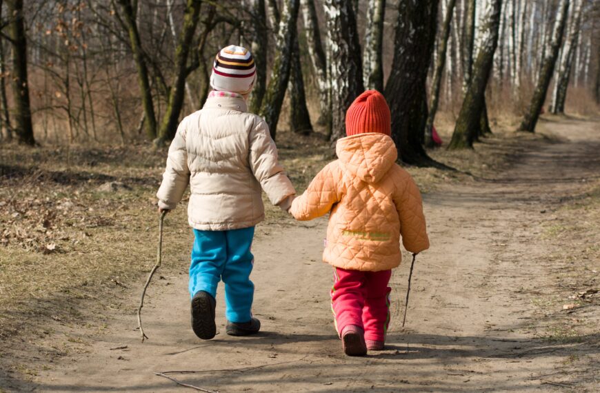 Polskie życie 83 Birth Order: Potential Impact on Child Health. Study Findings.