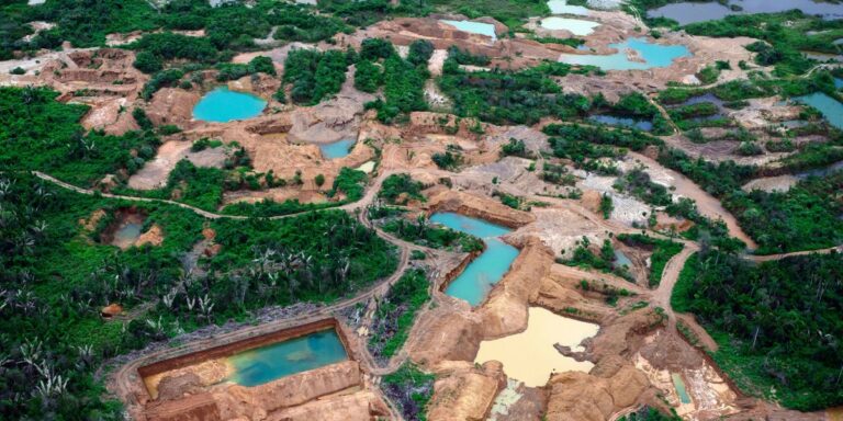 Amazonia zalana przez nielegalne wydobycie złota. Raport Greenpeace ukazuje ogrom problemu 60 Amazonia zalana przez nielegalne wydobycie złota. Raport Greenpeace ukazuje ogrom problemu 5