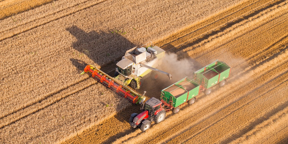 Tenders for land from KOWR are causing emotions. Farmers feel helpless | Illustrative photo