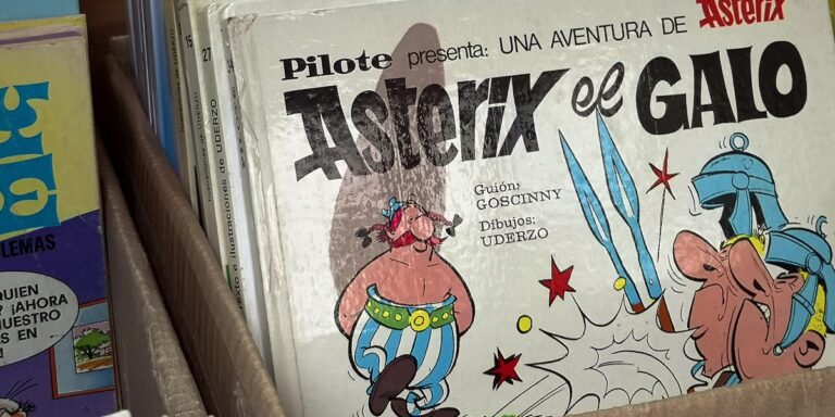"Obelix" jako brand niedostępny dla polskiego przedsiębiorstwa. Unijny sąd wydał orzeczenie. 7 "Obelix" jako brand niedostępny dla polskiego przedsiębiorstwa. Unijny sąd wydał orzeczenie. 6