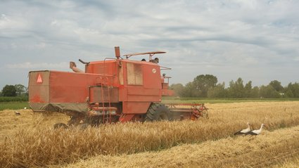 Ruszają badania tysięcy gospodarstw w Polsce. Za odmowę grozi grzywna